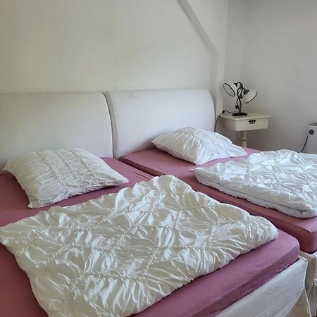 Apartmán Elbblick Königstein an der Elbe Exteriér fotografie