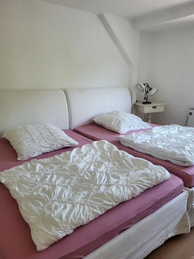 Apartmán Elbblick Königstein an der Elbe Exteriér fotografie